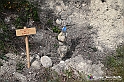 VBS_3243 - Mango (Cuneo) - Gnomovia